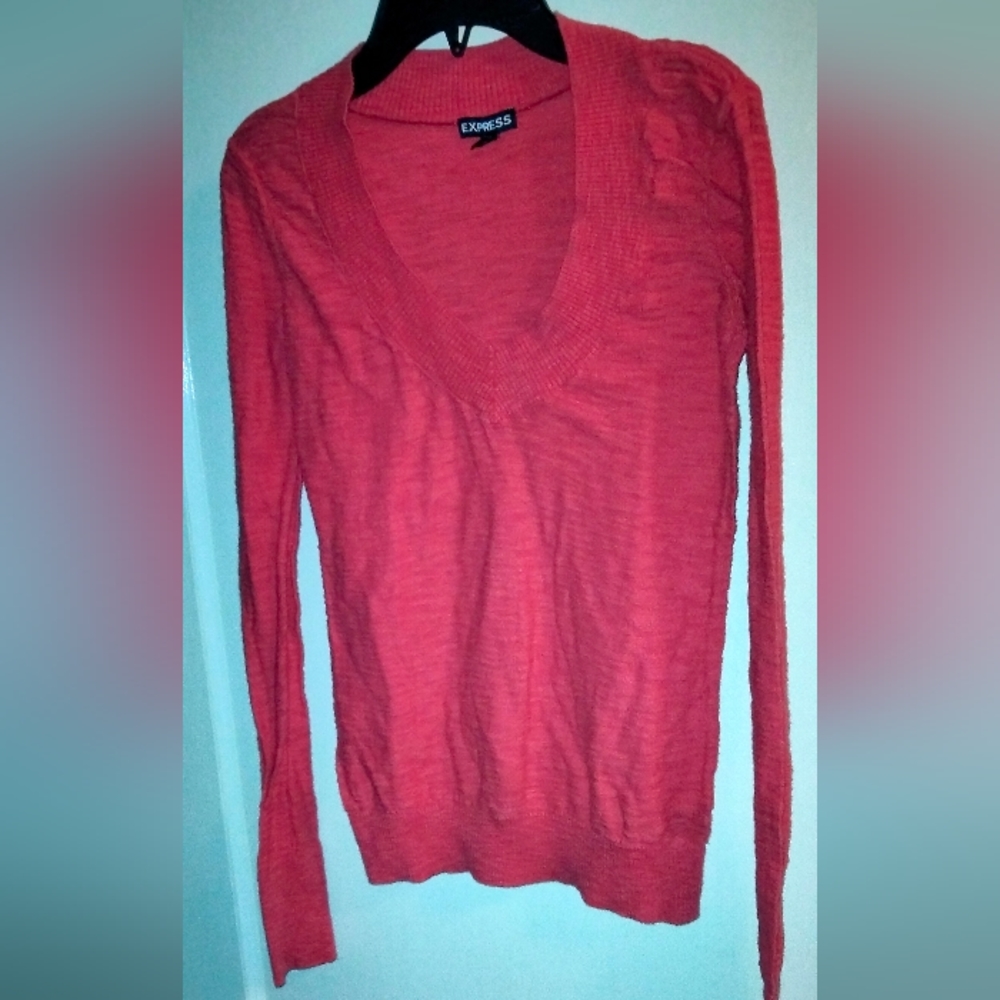 Express size small sweater